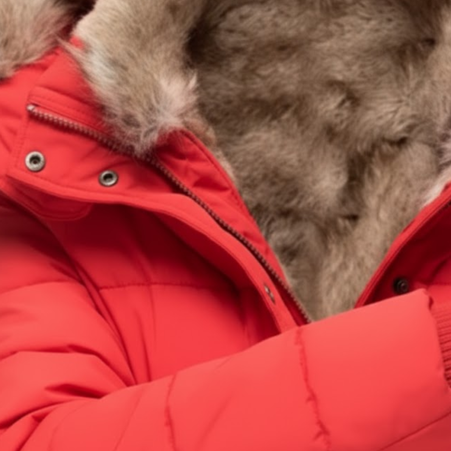 Veste en Coton Chaude Femme Coupe Slim Capuche Col en Fourrure Hiver