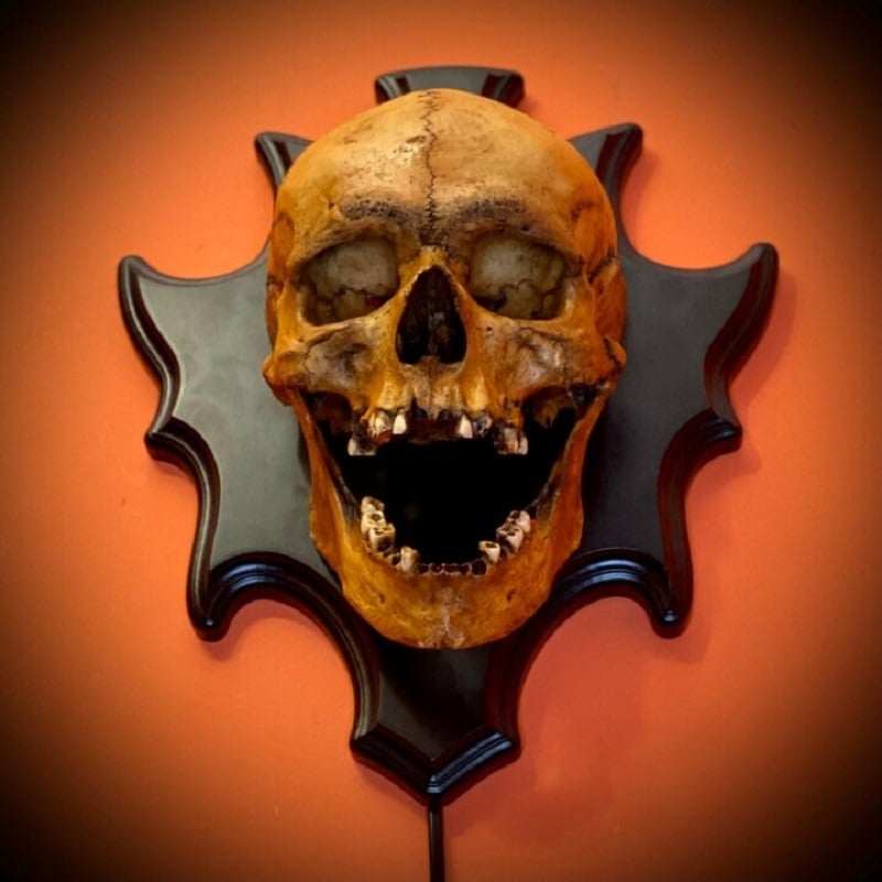 Nástěnná LED lampa ve tvaru lebky – halloweenská dekorace s osvětlenou melodií na noc