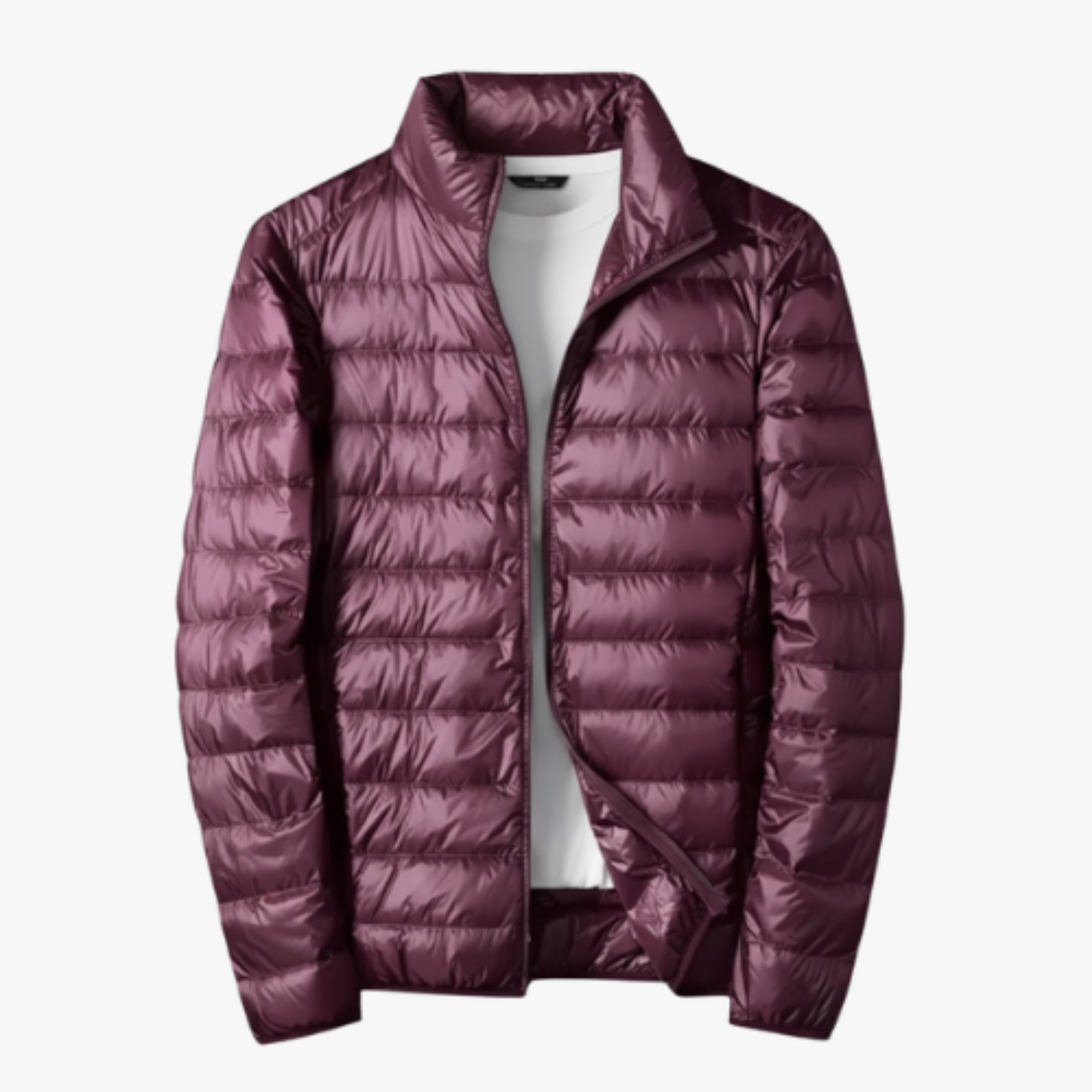 Veste Ultra-Légère en Duvet de Canard Blanc pour Homme Imperméable et Portable