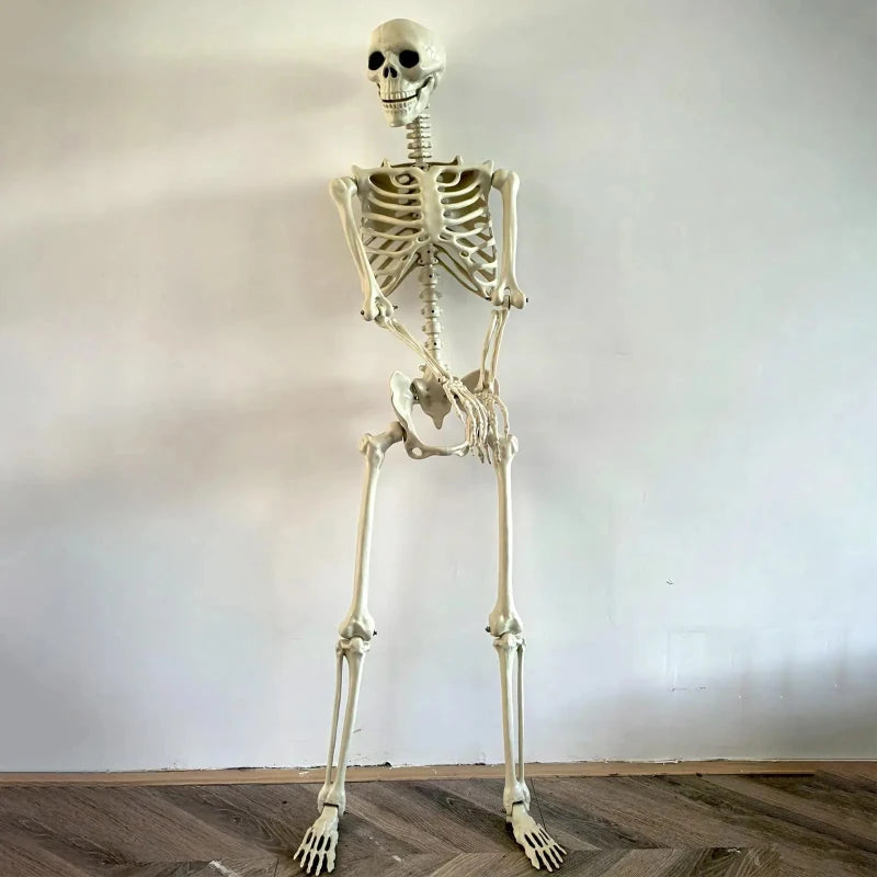 Life-Size Realistic Skeleton Halloween Haunted House Decoration